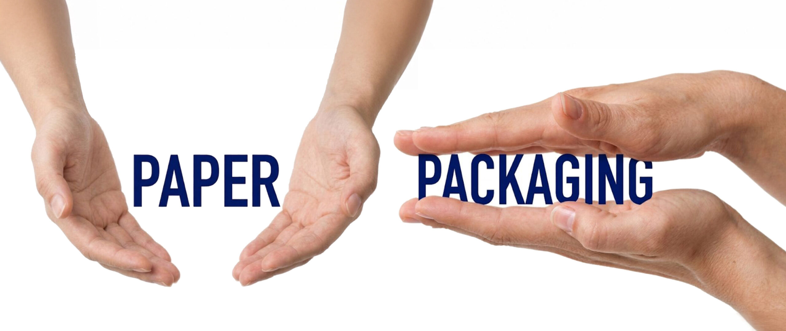 Paper and packaging banner3